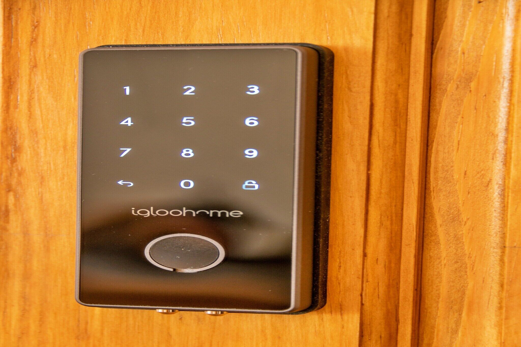 A keypad lock on a wooden door.