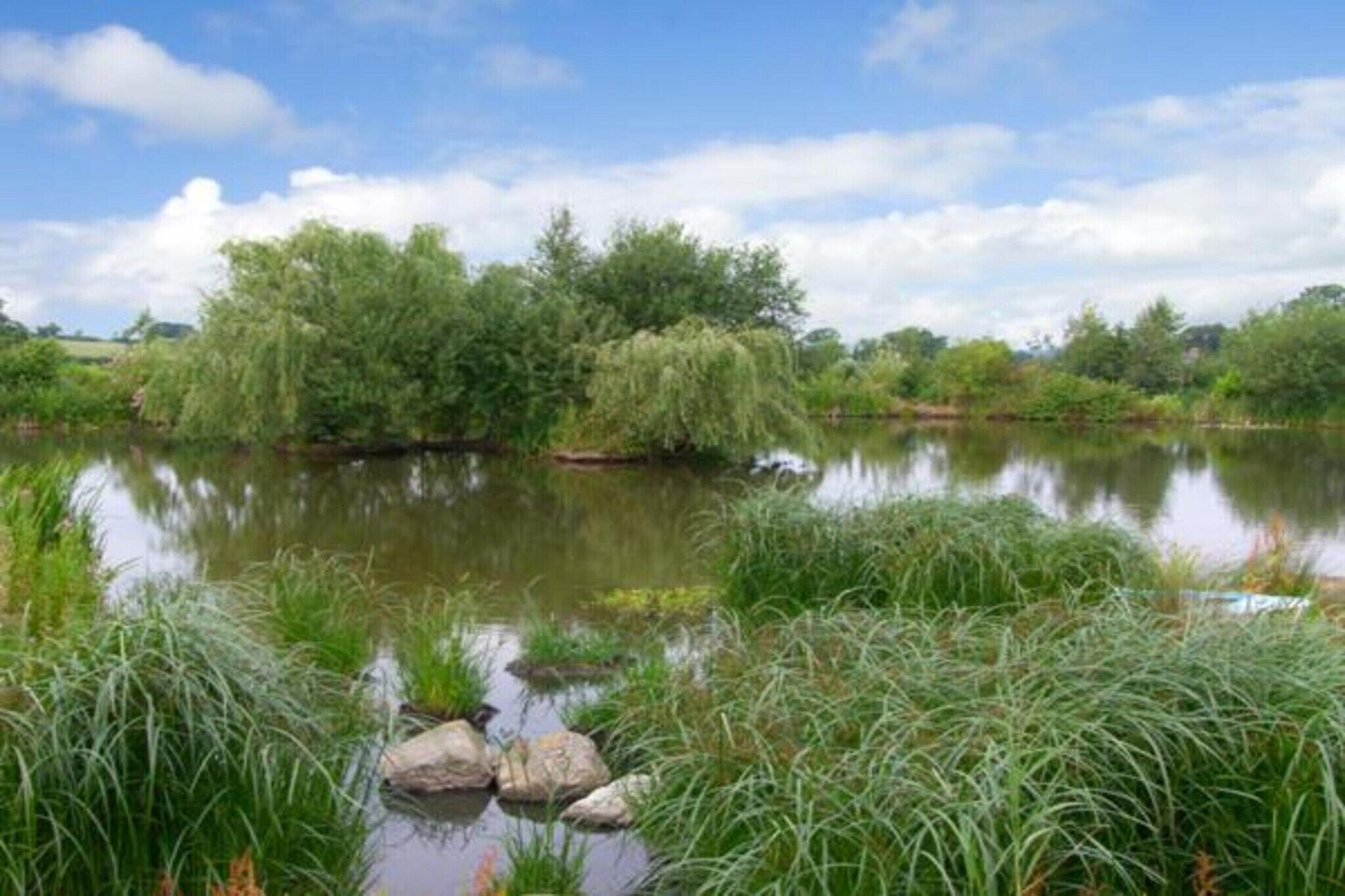 A calm river with lush greenery and trees reflecting on the water.