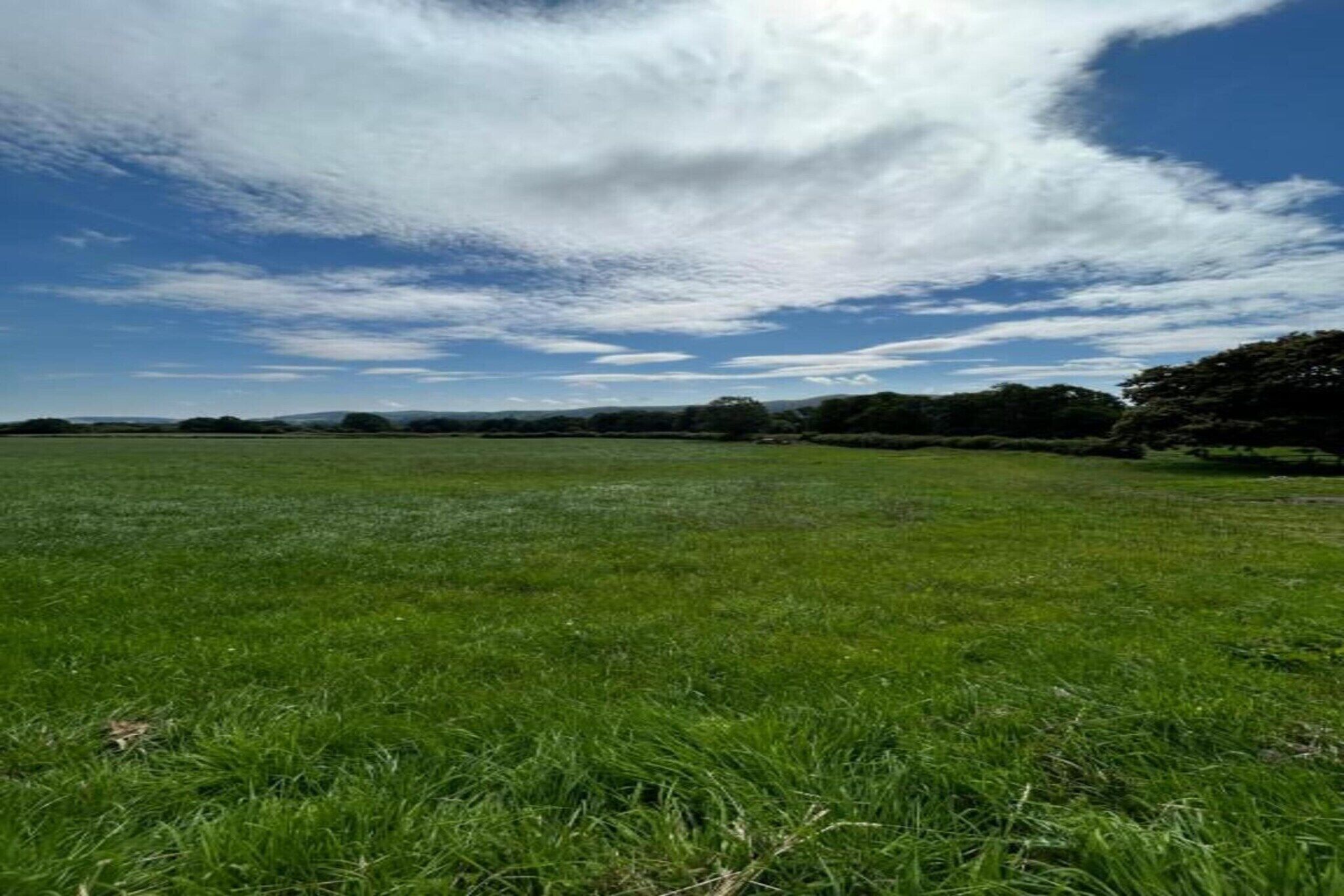 A wide, open grassy field with a clear sky and scattered clouds.