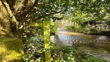 A narrow waterway flanked by lush greenery and a wooden bridge.