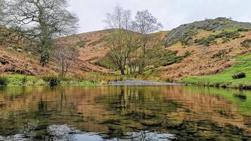 A serene landscape with a calm lake reflecting trees and hills.