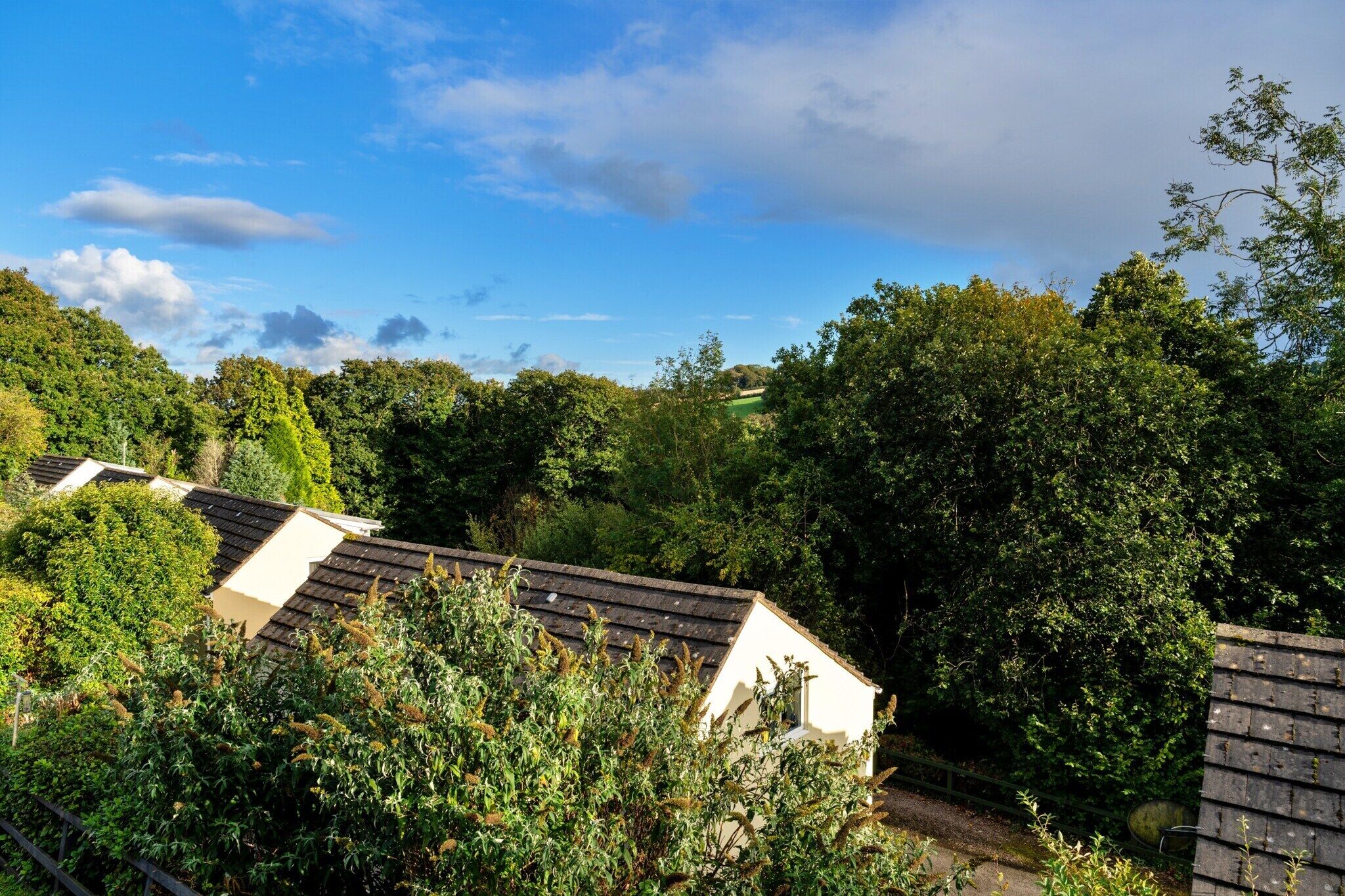 A rural setting with a house surrounded by dense greenery and trees.