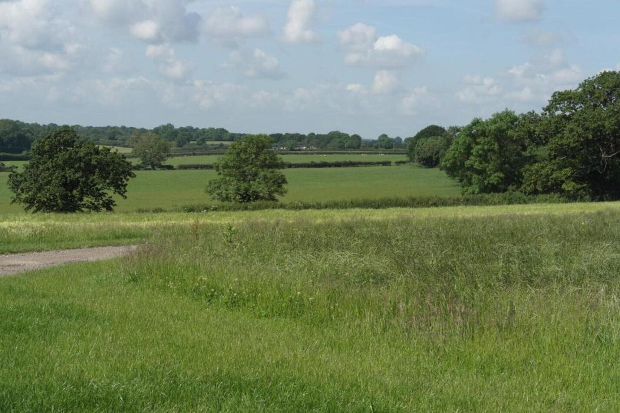 Een landelijk landschap met open velden, verspreide bomen en een heldere lucht.