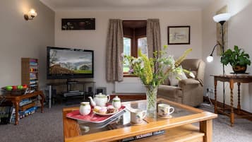 Smart TV, fireplace, DVD player