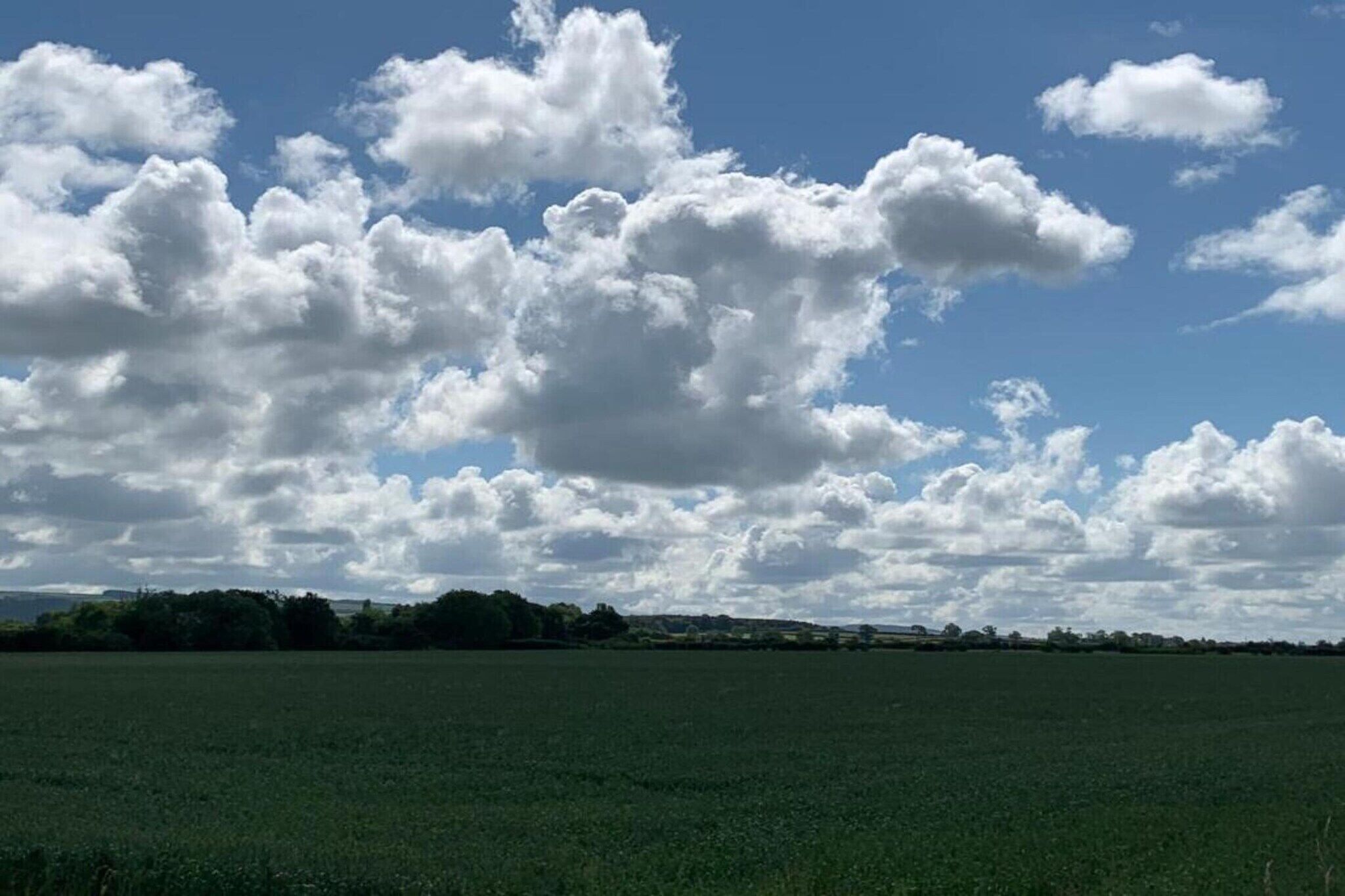 A wide-open field with a clear sky and scattered clouds.