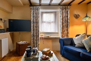 Smart-TV, Kamin