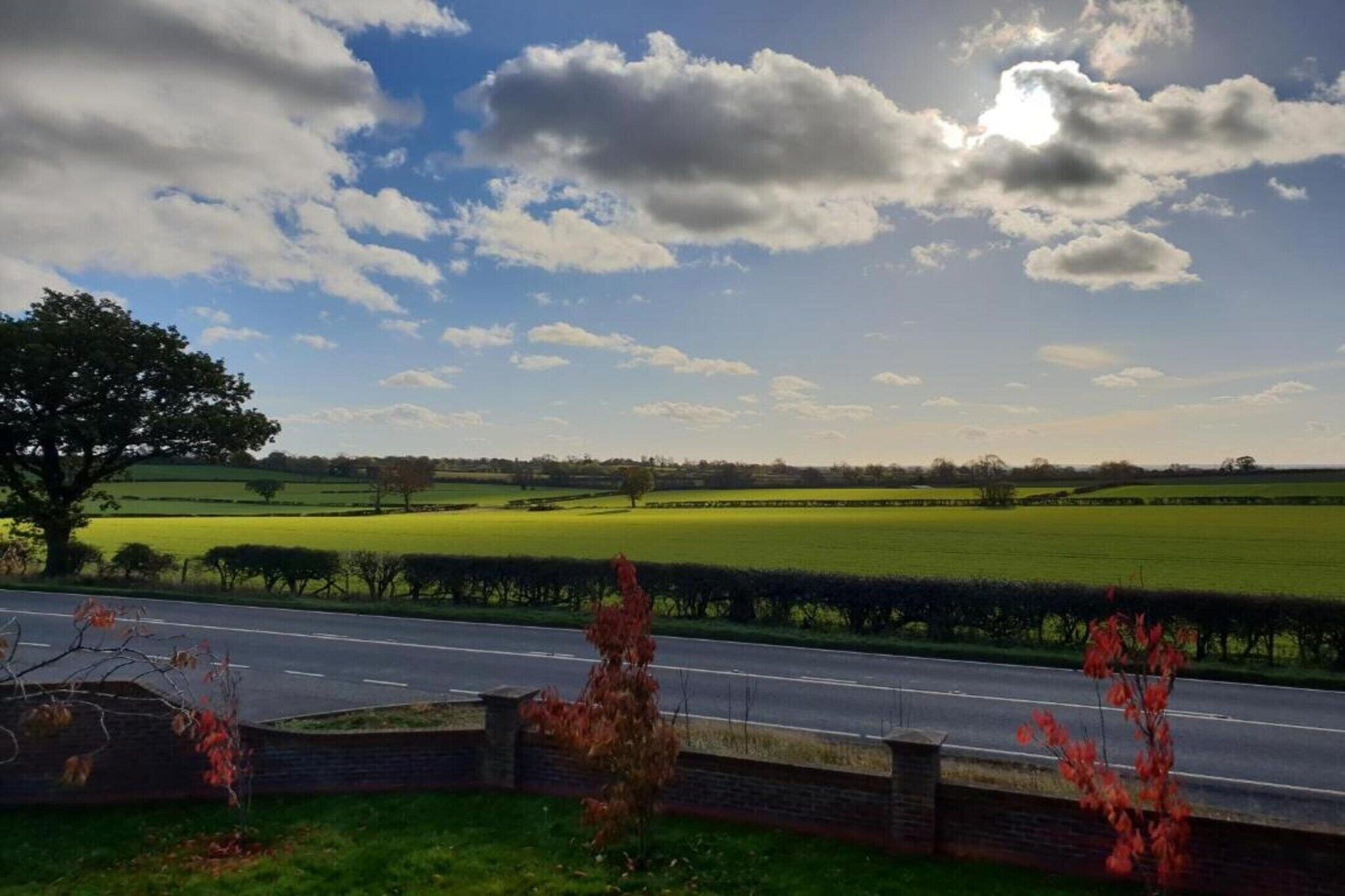 A rural landscape with a road, fields, and a tree.