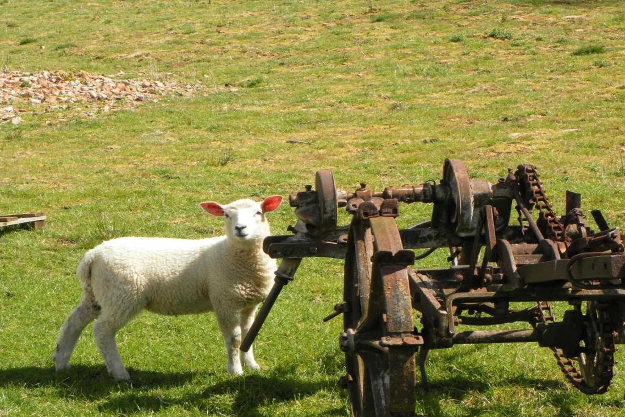 منوع
