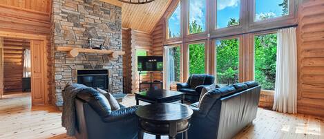 Télévision, cheminée