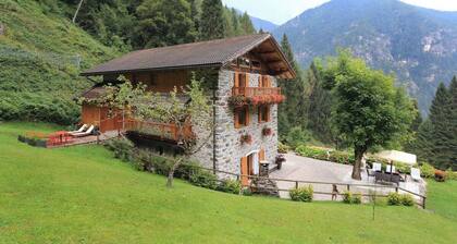 Apartment in a chalet nestled in the forest, with sauna and private forest