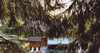 Apartment in a chalet nestled in the forest, with sauna and private forest