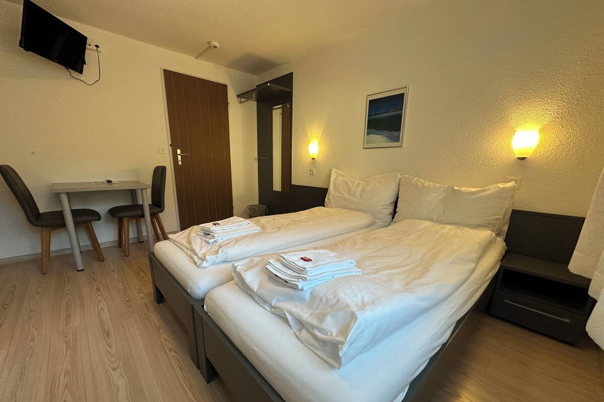 Economy Double or Twin Room, Mountain View | Ruang kerja komputer riba, seterika/papan seterika 