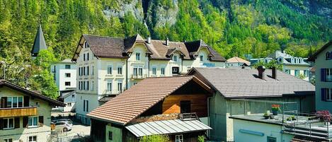 Habitació individual | Vista de la muntanya