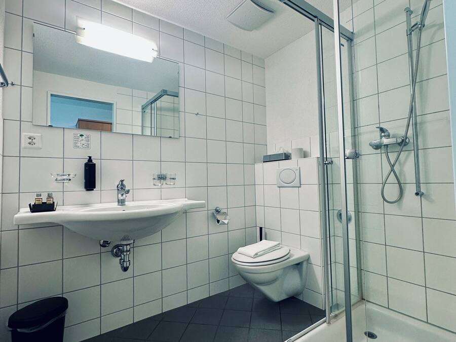 A modern bathroom with a glass shower enclosure, a white sink, and a toilet.