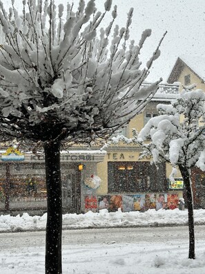 City view - Hotel Rebstock (Meiringen)