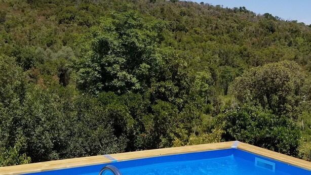 Ein rechteckiger Swimmingpool mit Metallleitern an der linken Seite, umgeben von einer Holzterrasse.