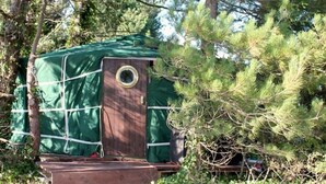 A small, green, dome-shaped structure with a circular window, surrounded by trees. - 'Crab Shack' Luxury Yurt with Harbour & Sea Views (Emsworth)