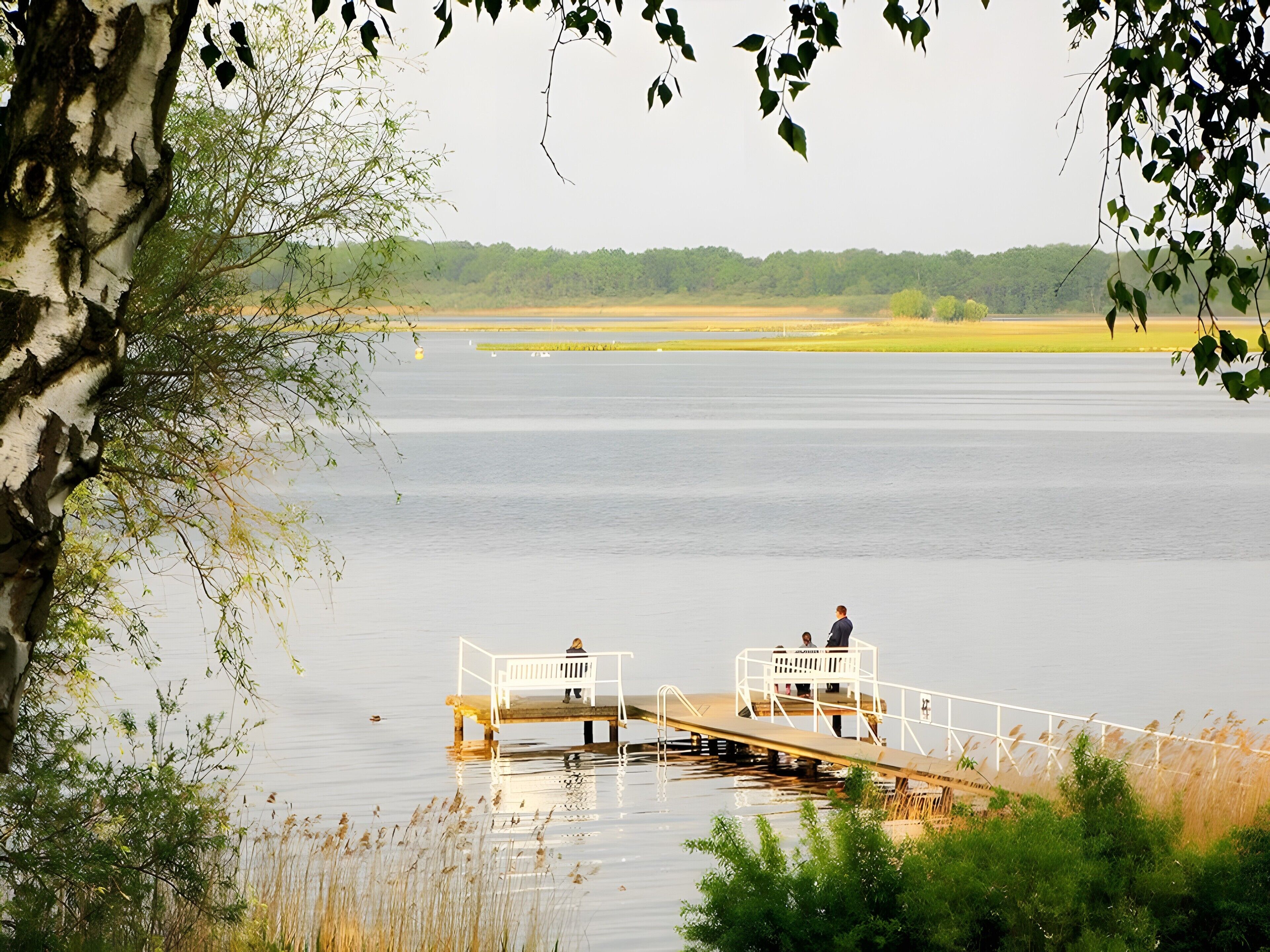 Un lac paisible, avec une jetée en bois qui s’avance sur l’eau, agrémentée de deux bancs blancs.