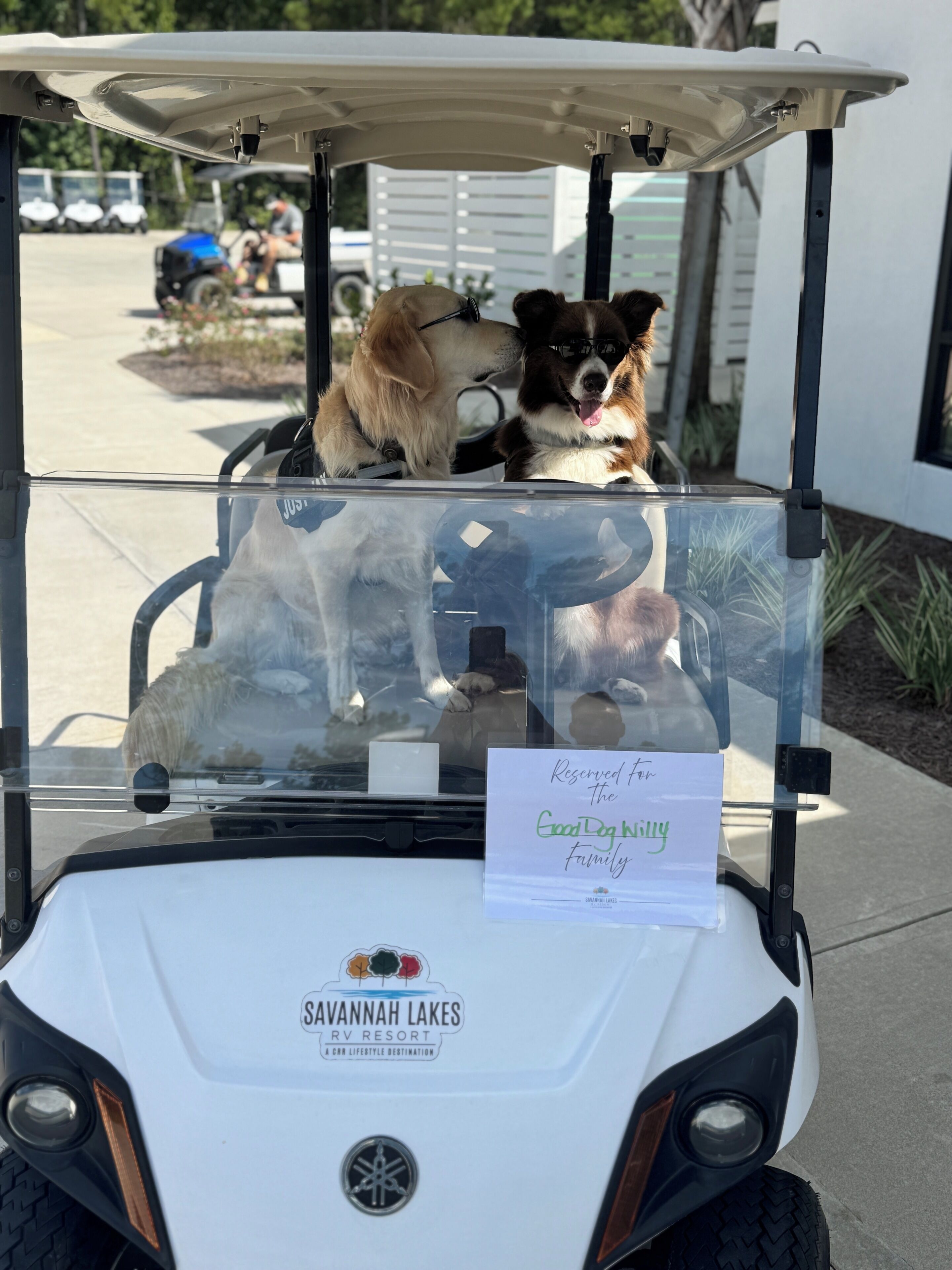 Une voiturette de golf avec un panneau indiquant qu’elle est réservée pour la famille « Good Dog ».