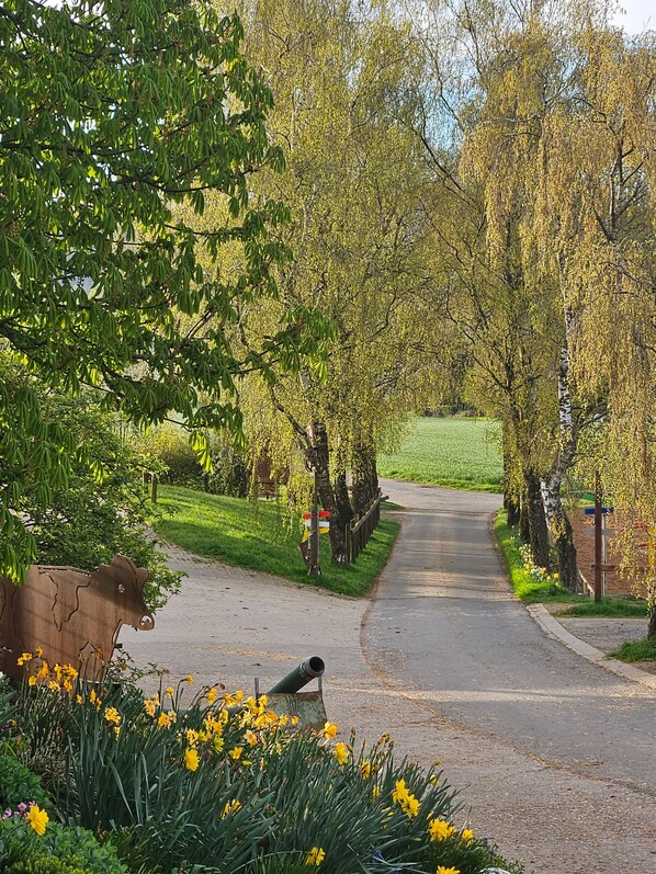 Áreas de la propiedad