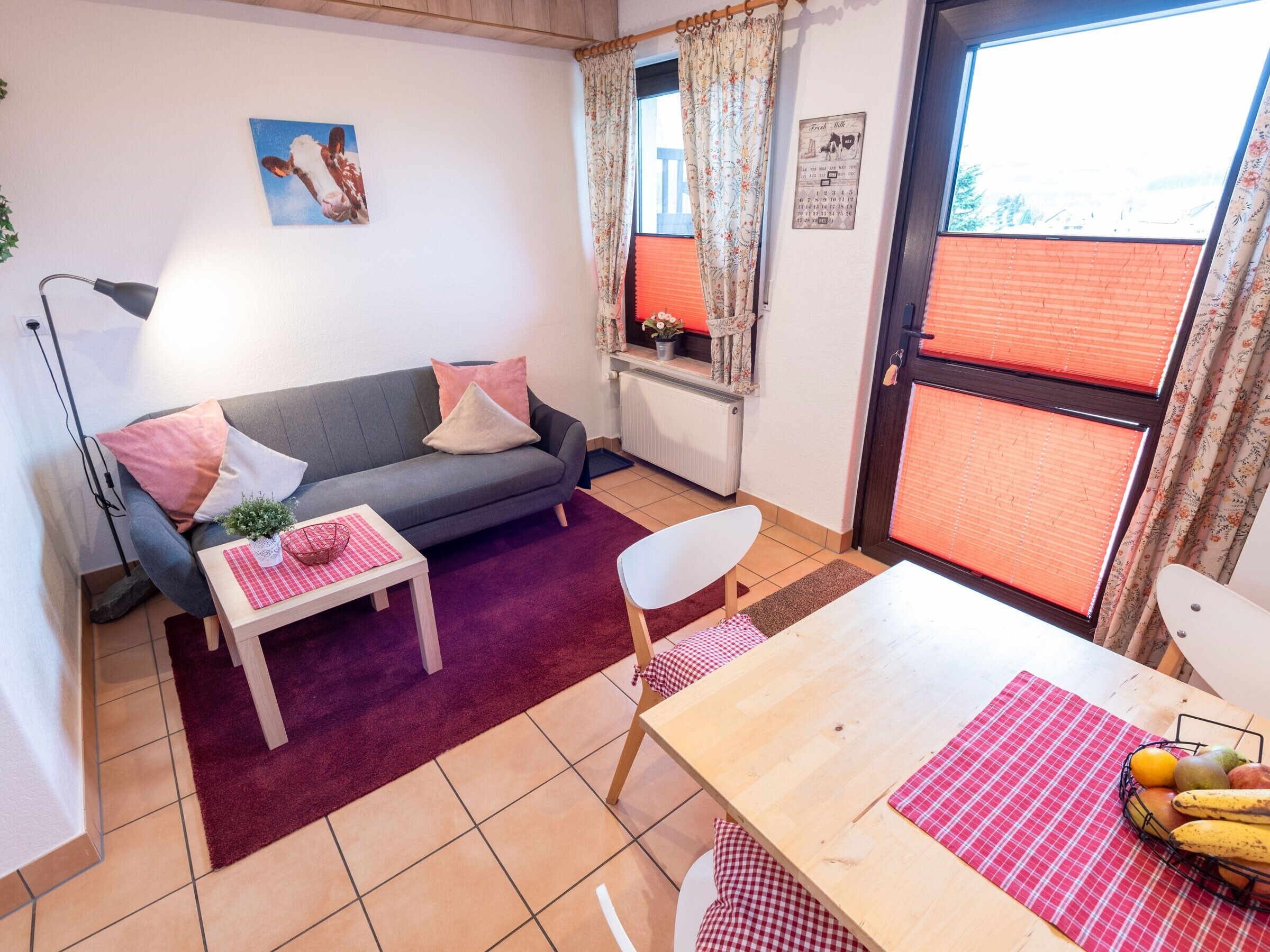 Télévision, table de tennis de table, chaîne hi-fi