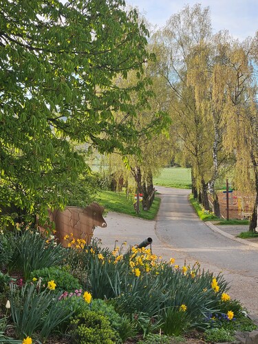 Ferienwohnung 'Gänseblümchen' mit Bergblick, Gemeinschaftsterrasse und Wi-Fi
