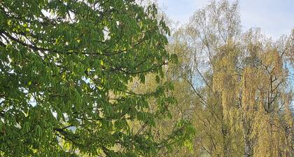 Ferienwohnung 'Gänseblümchen' mit Bergblick, Gemeinschaftsterrasse und Wi-Fi
