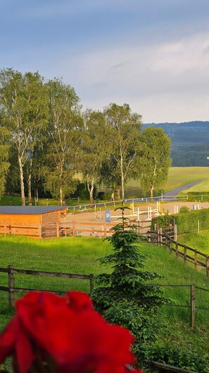 Property grounds - Ferienhof Pulte Apartment 'Schwalbennest' with Mountain View, Shared Terrace and Wi-Fi (Attendorn)