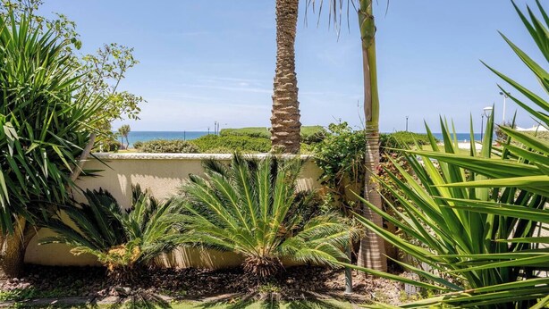 A coastal garden with palm trees, ferns, and a view of the sea. - Gugel Waves Seaview 4BR Family Aparts (Nahariya)