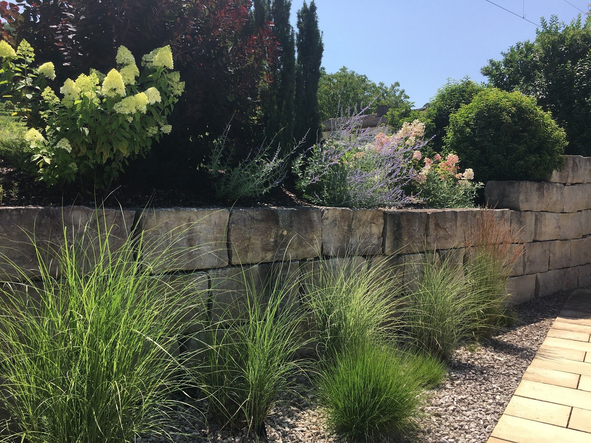 A garden with a stone wall, various plants, and a paved walkway.