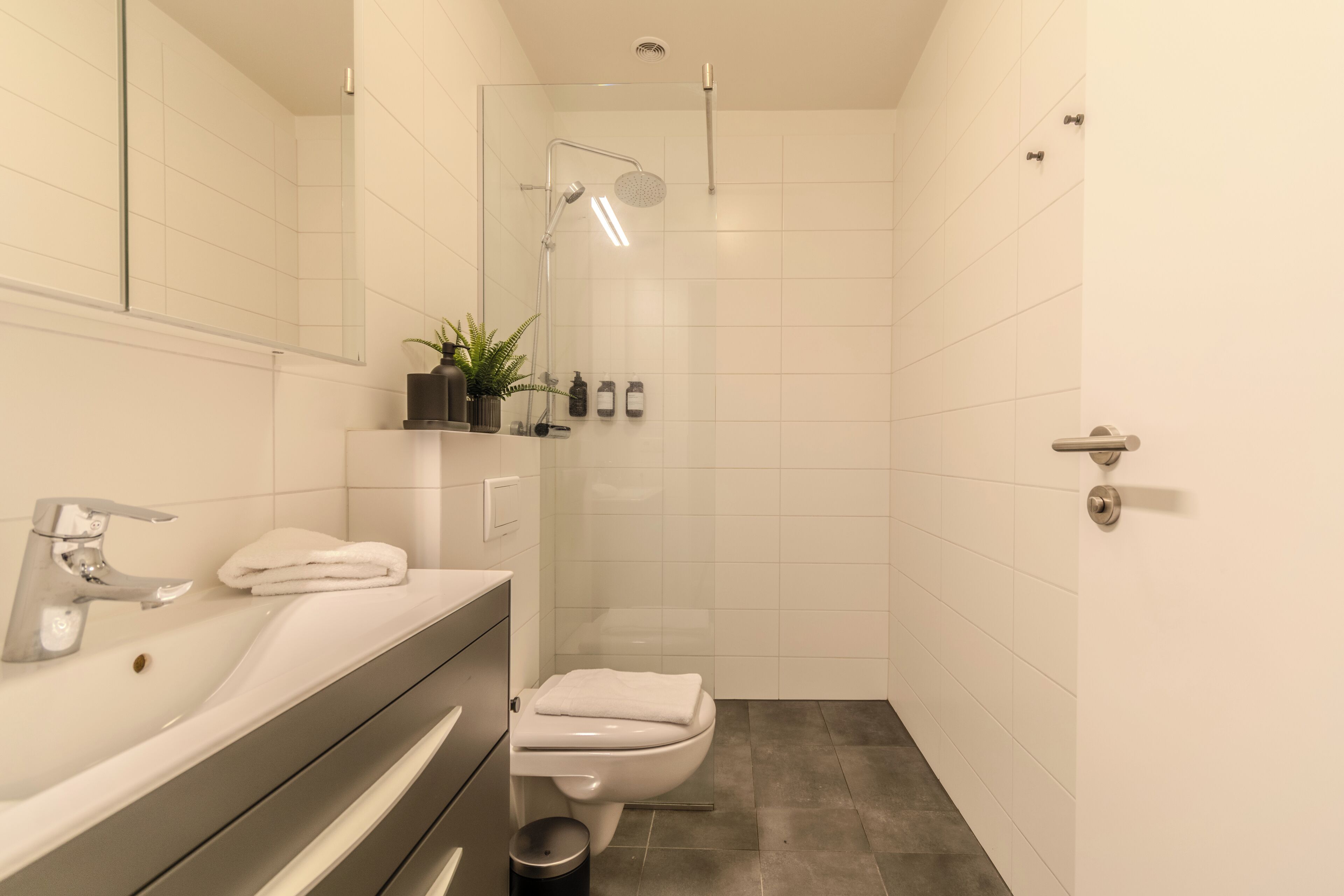 Un baño moderno con un lavamanos blanco, espejo y retrete. Hay un cabezal de ducha y una pequeña planta en maceta en el tocador.