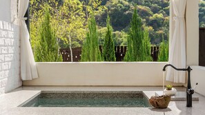 A small indoor pool with a stone edge, a potted plant, and a faucet.
