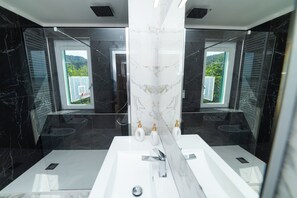 Shower, hair dryer, bidet, towels