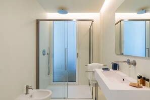 Douche, sèche-cheveux, bidet