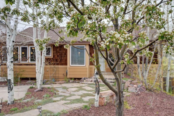 Welcome to Oakdale Oasis