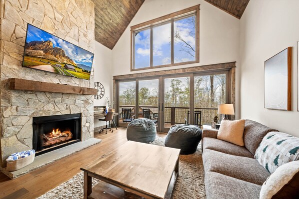 Smart TV, fireplace, music library, video library
