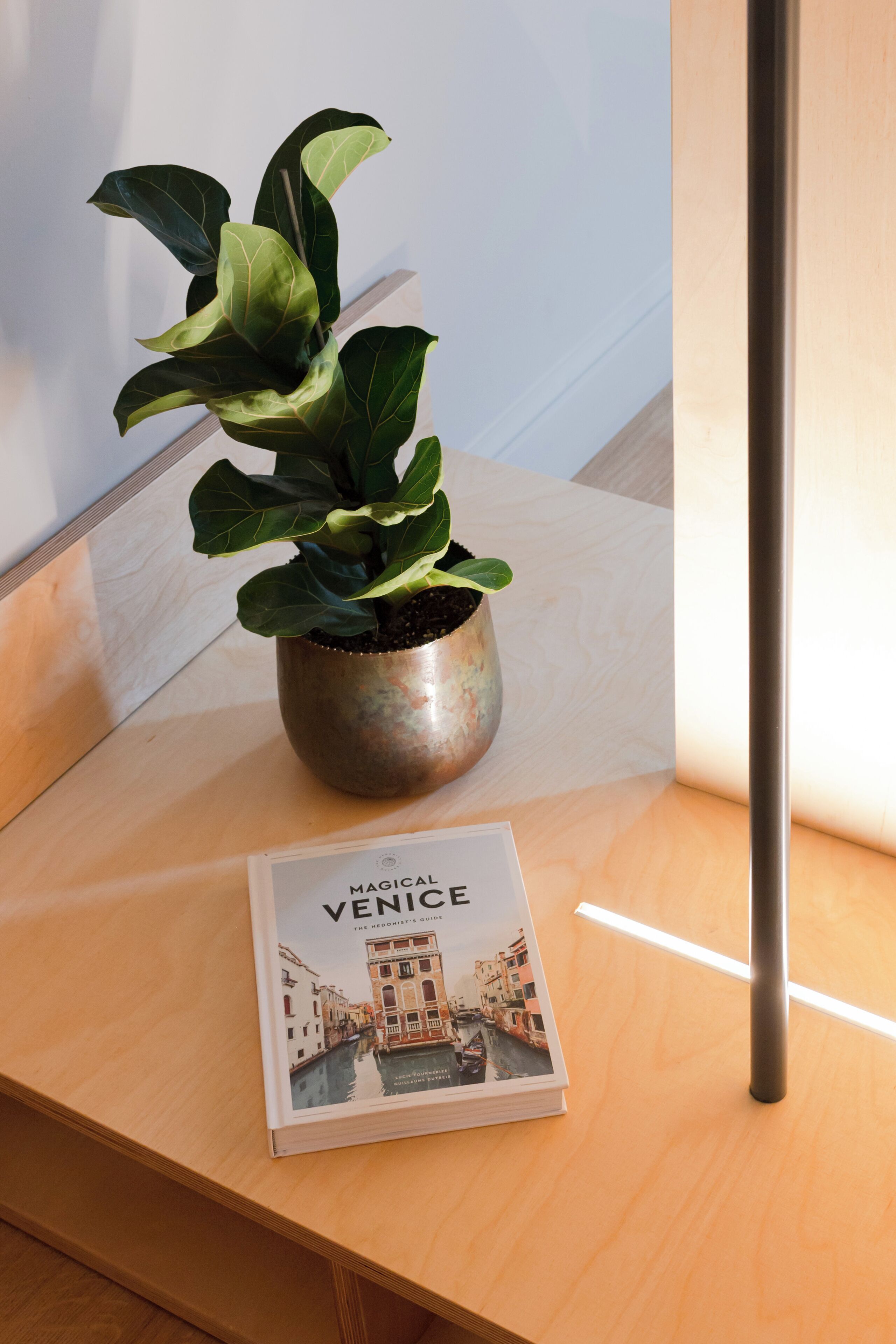 Ein Blumentopf und ein Buch mit dem Titel 'Magical Venice' auf einer Holztischplatte.