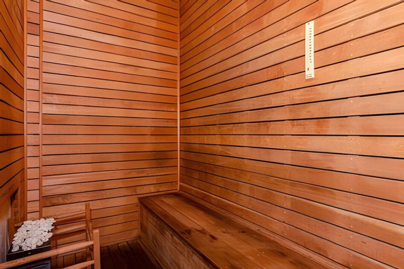 Sauna seca