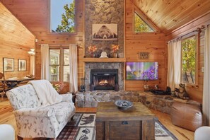 TV connectée, cheminée, livres