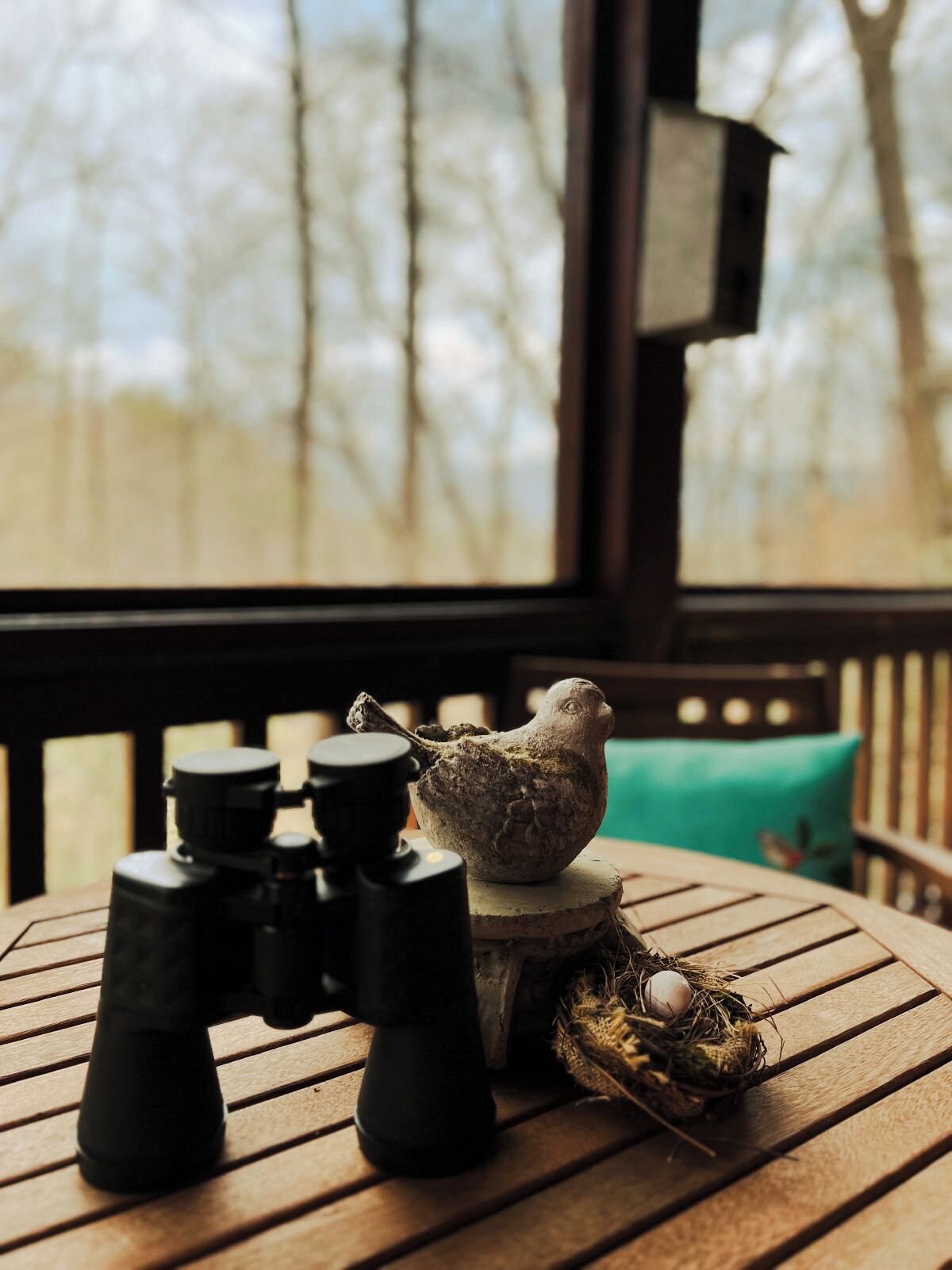 Une table en bois, sur laquelle on trouve des jumelles, une sculpture d’oiseau et un nid contenant un œuf.
