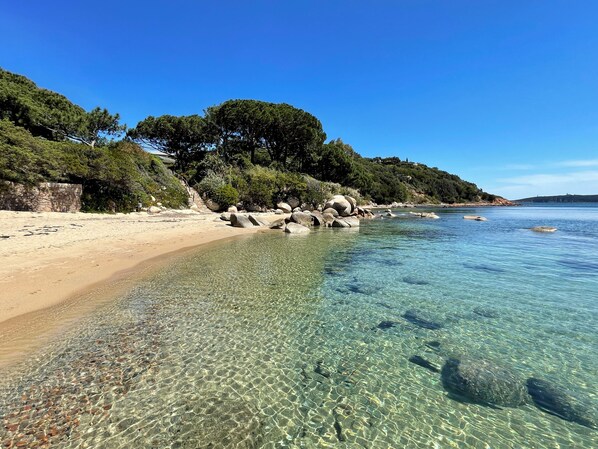 Beach - Modern Villa Domaine Cala Rossa swimming pool private beach on foot 7bed/7bath (Lecci)