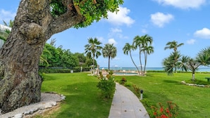 Un giardino curato con un vialetto che conduce a una zona piscina, circondata da palme e vista sul mare.