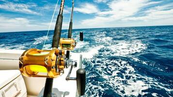 Apartment | 2 bedrooms