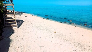 A beach with clear blue water, a wooden ladder leading to a shaded area, and scattered rocks along the shore.