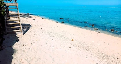Moorea - Fare Taina Iti