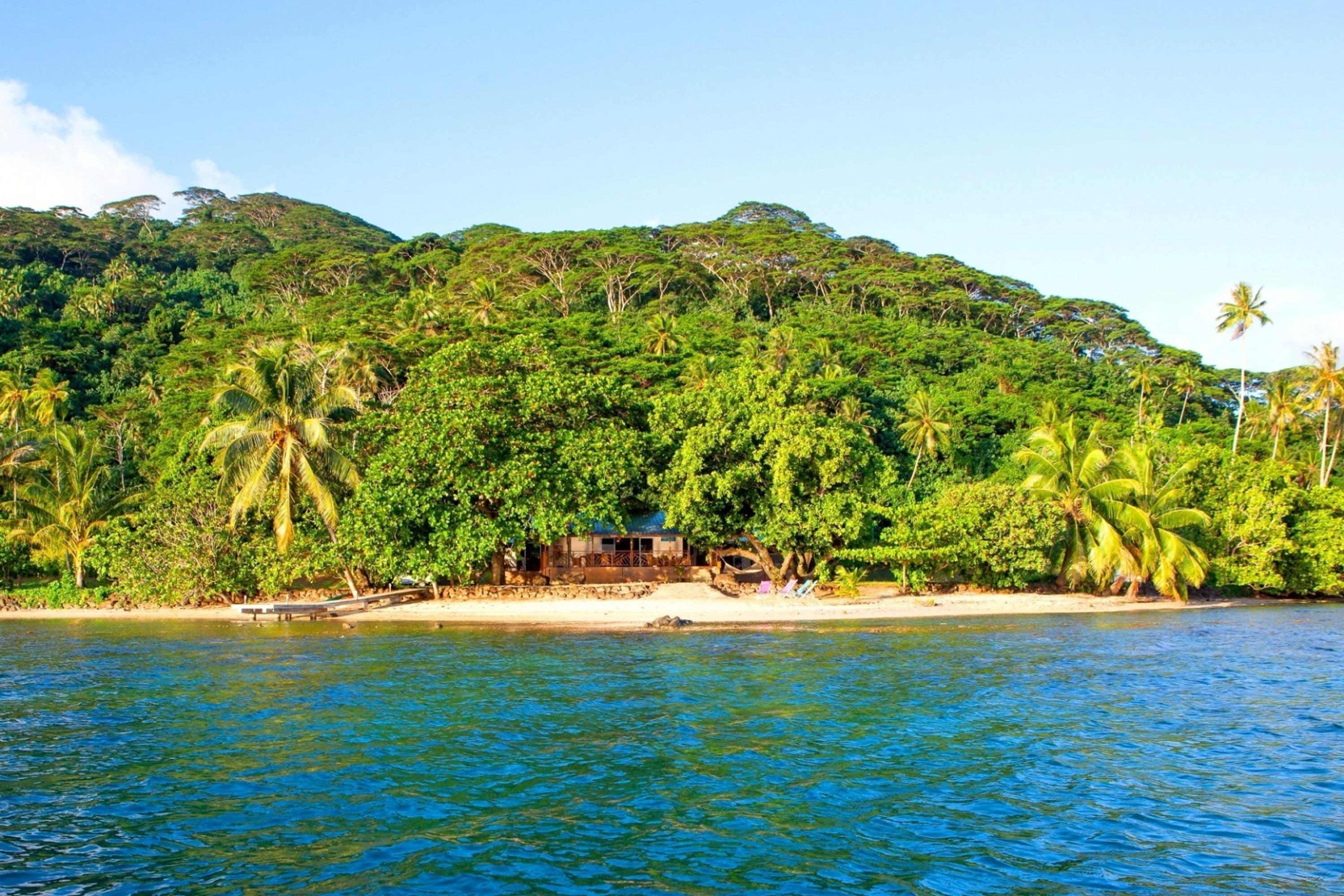 A tropical beach with a small wooden structure, palm trees, and a forested hill in the background.