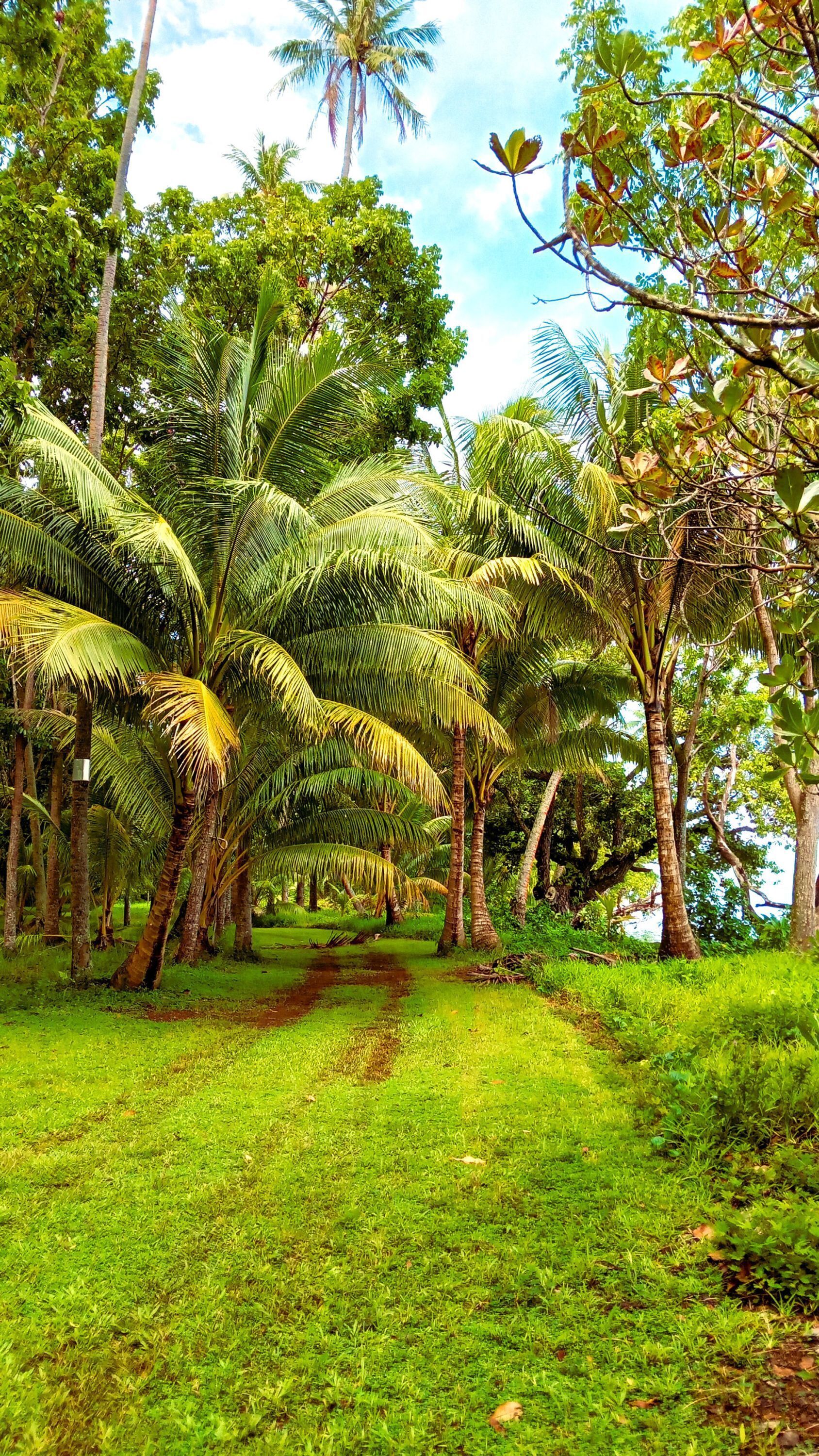 Villa, Smoking | 2 bedrooms