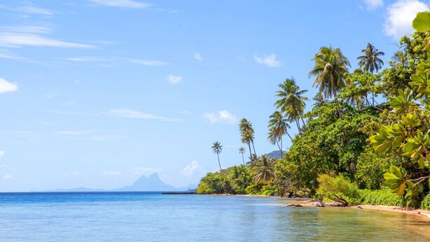 A tropical beach with clear blue water, palm trees, and lush greenery. - Tahaa - Villa Tehere Dream Beach Front (Taha'a)