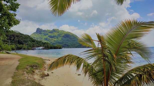 Ein Strand mit einer Palme, einem Boot und einem Berg im Hintergrund.