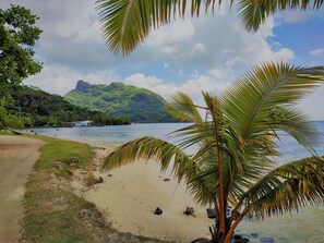 Een strand met een palmboom, een boot en een berg op de achtergrond.